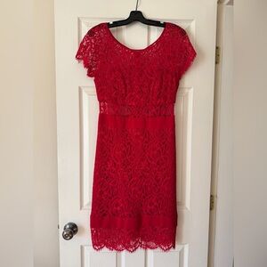 Nicole Miller lace cocktail dress in Size 8.